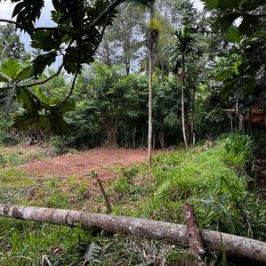 ? *LAND FOR SALE | KANDY TOWN* ?️ - Image 3