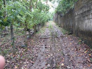 Land for Sale in Mattegoda Adjoining Sri Jayawardenapura University