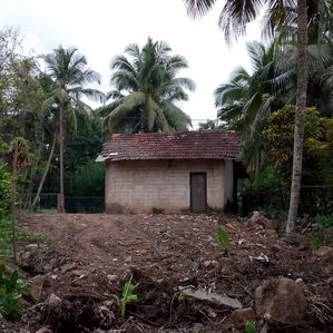 Land for Sale in Habaraduwa - Image 4