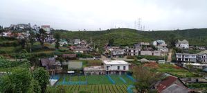 Nuwara Eliya Land For Sale Magasthota(NK106642)
