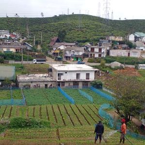 Nuwara Eliya Land For Sale Magasthota(NK106642) - Image 2