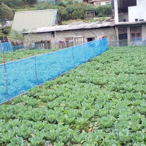 Nuwara Eliya Land For Sale Magasthota(NK106642) - Image 4
