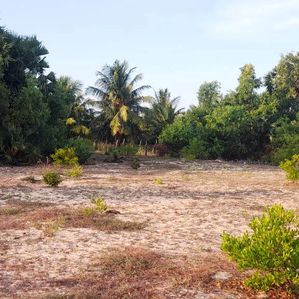 Land For Sale (වටිනා ඉඩමක්) - Image 2