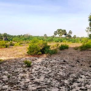 Land For Sale (වටිනා ඉඩමක්) - Image 3