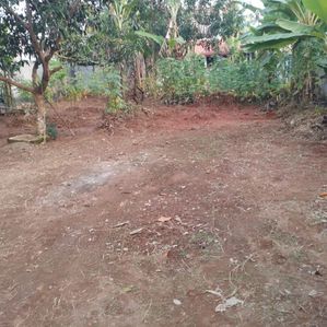 Land for Sale - Weedagama,Bandaragama - Image 2