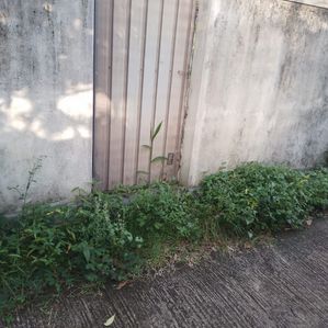 Land for Sale - Weedagama,Bandaragama - Image 3