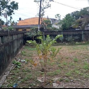 10.5 P Land for Sale in Moratuva - Image 2
