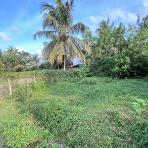 land for sale kandana - Image 3