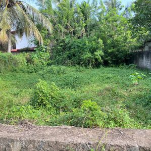 land for sale kandana - Image 4