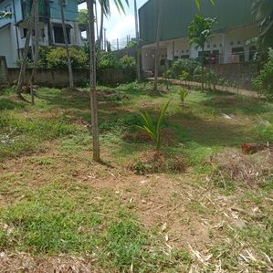 Land for Sale in Ratnapura - Image 2