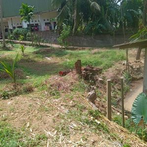 Land for Sale in Ratnapura - Image 4