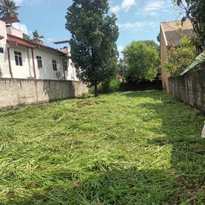 Prime Bare Land for Sale on Averiwatta Road, Wattala (EM066RN) - Image 3