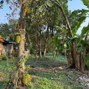 Land for Sale Gothatuwa - Image 2