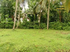 Land For Sale in Gampaha