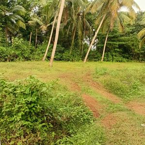 Land For Sale in Gampaha - Image 2