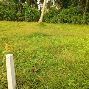 Land For Sale in Gampaha - Image 3