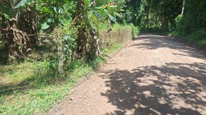 15 P Land for Sale in Minuwangoda Dewalapola