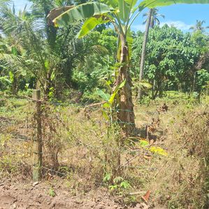 15 P Land for Sale in Minuwangoda Dewalapola - Image 4