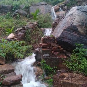 (AF297) 28-ACRE CINNAMON ESTATE FOR SALE IN EHELIYAGODA - Image 2
