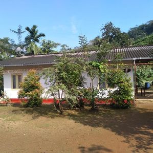(AF297) 28-ACRE CINNAMON ESTATE FOR SALE IN EHELIYAGODA - Image 3