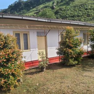 (AF297) 28-ACRE CINNAMON ESTATE FOR SALE IN EHELIYAGODA - Image 4