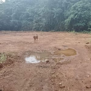 19.7 Perches Land for Sale in Kotte - Image 2