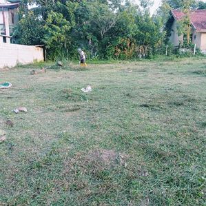 තංගල්ල පට්ටියපොළ පාරට නුදුරින් ඉඩමක් විකිණීමට - Image 2