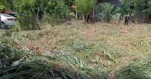 Land For Sale Anuradhapura