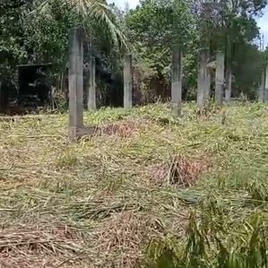 Land For Sale Anuradhapura - Image 3