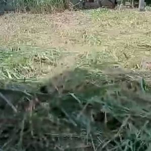 Land For Sale Anuradhapura - Image 4