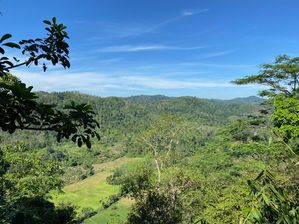 Property with a Villa Agricultural Land for Sale Karandana