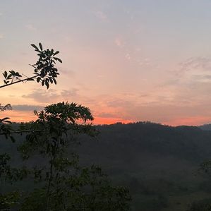 Property with a Villa Agricultural Land for Sale Karandana - Image 2
