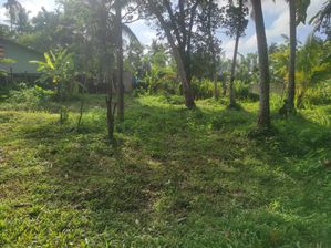 Land for sale panadura alubomulla.