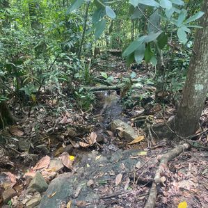 Land for Sale - Kuruwita - Image 2