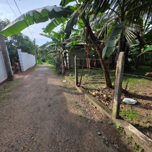 පර්චස් 10 ක තැනිතලා නිරවුල් ඉඩමක් විකිණීමට - Image 2
