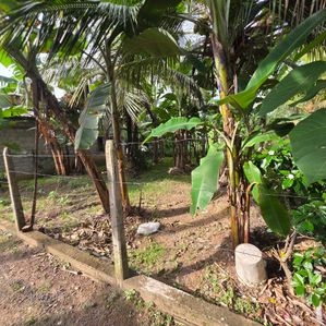 පර්චස් 10 ක තැනිතලා නිරවුල් ඉඩමක් විකිණීමට - Image 4