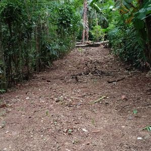 Land Sale in Bandaragama - Image 3