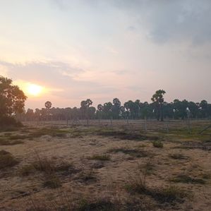 Land for Sale in Batticaloa - Mylampavely for sale
