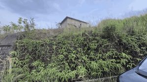 Land for sale in Thalagaha for sale