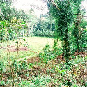 Land for Sale in Padukka - Image 2