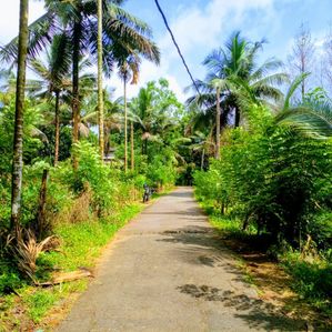 Land for Sale in Padukka - Image 3