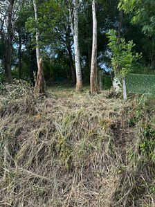 Land for Sale Haragama
