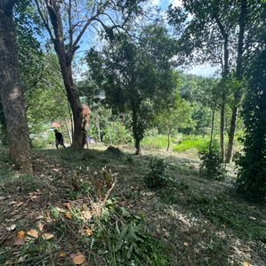 Land for Sale Haragama - Image 3