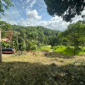 Land for Sale Haragama - Image 4