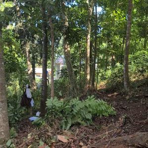 20-Perch Land for Sale - Peradeniya/ Gannoruwa - Image 2