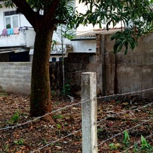 Land for sale - Great location Panadura - Image 3