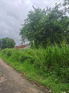 Prime 20-Perch Lands for Sale in Kurunegala