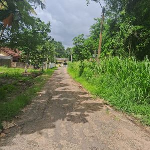 Prime 20-Perch Lands for Sale in Kurunegala - Image 2
