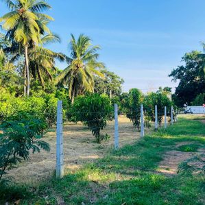 Land For Sale in Tissamaharama - Image 3