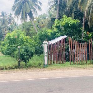 Land For Sale in Tissamaharama - Image 4